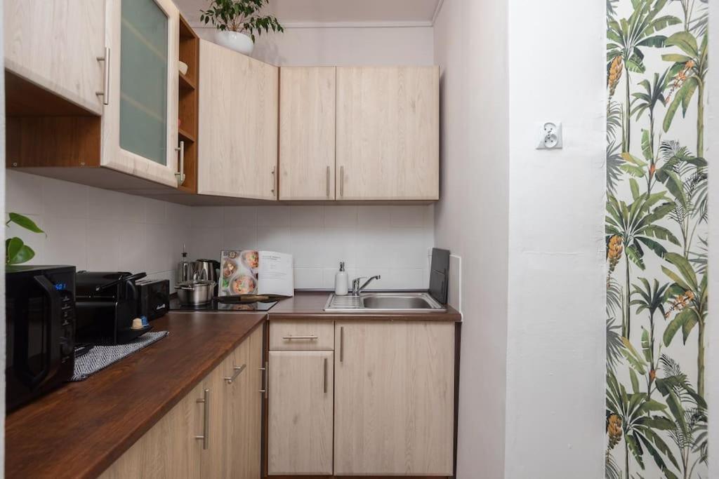 Spacious With Park View Apartment